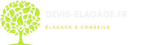 logo DevisElagage